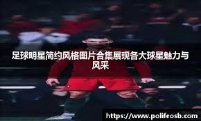 概率与决策的关系（概率如何影响决策）