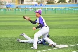 解析“理性投降”的智慧（洞察理性投降的智慧）