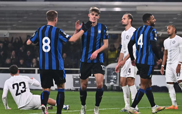 培养体系的 培养体系的